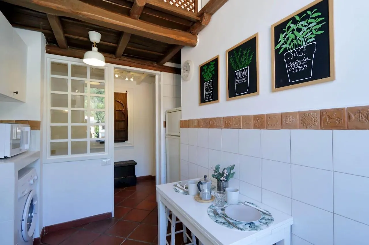 Casa Falcone 16 Apartment Rome